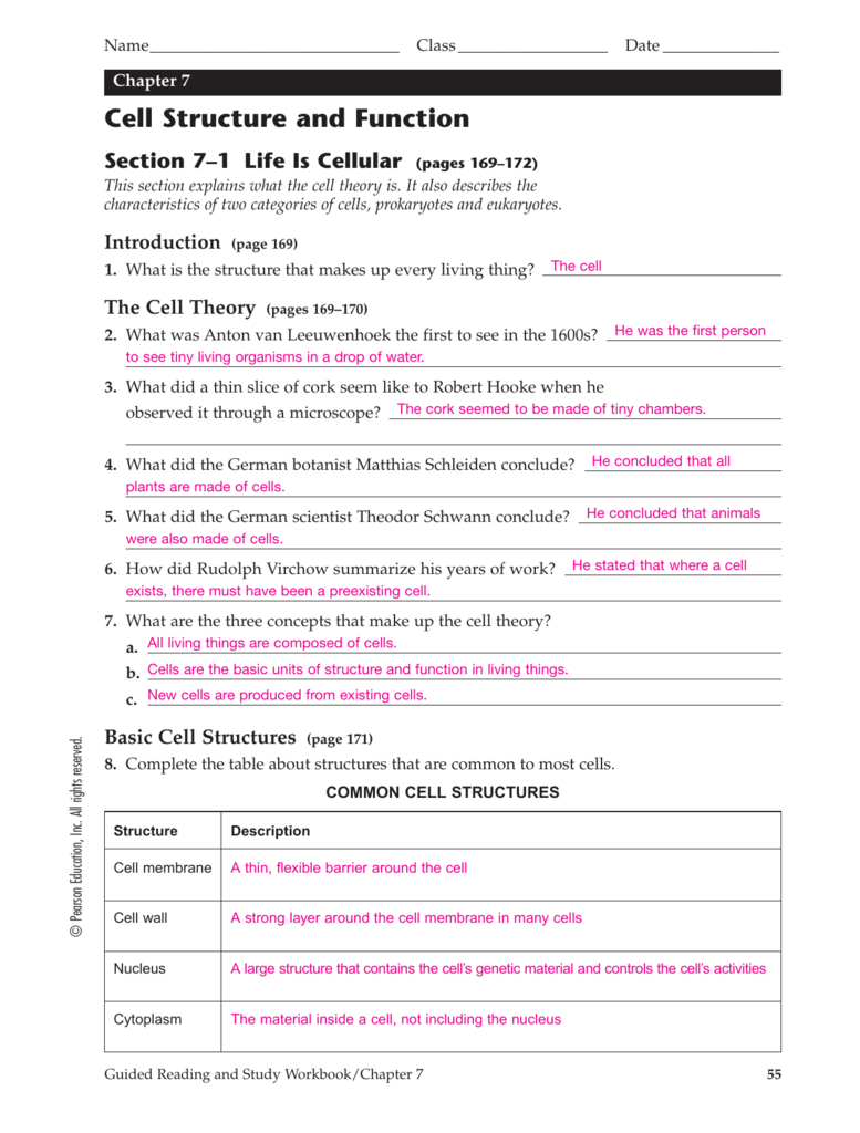 Chapter 7 Cell Structure And Function Te Also 7 2 Cell Structure Worksheet Answer Key Biology