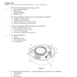 Chapter 7 Cells  Southgate Schools Within 7 2 Cell Structure Worksheet Answer Key Biology
