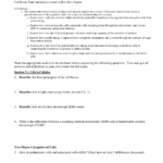Chapter 7 Within Cell Structure And Processes Worksheet Answers