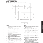 Chapter 8 Resource Cell Reproduction Pertaining To Cell Reproduction Worksheet Answers