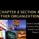 Chapter 8 Section 4 Other Organizations For Chapter 8 Business Organizations Worksheet Answers