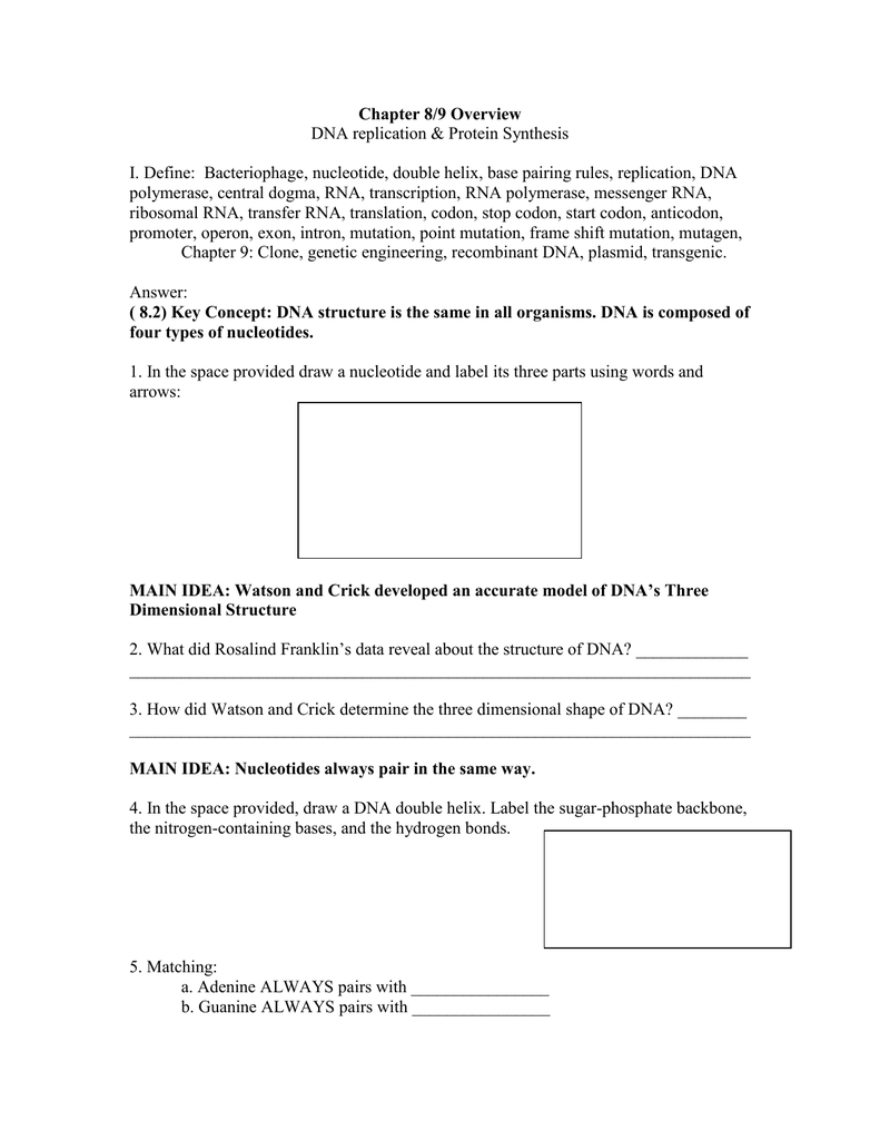 Chapter 89 Overview Dna Replication  Protein Synthesis I Define Regarding Dna Replication And Protein Synthesis Worksheet Answer Key
