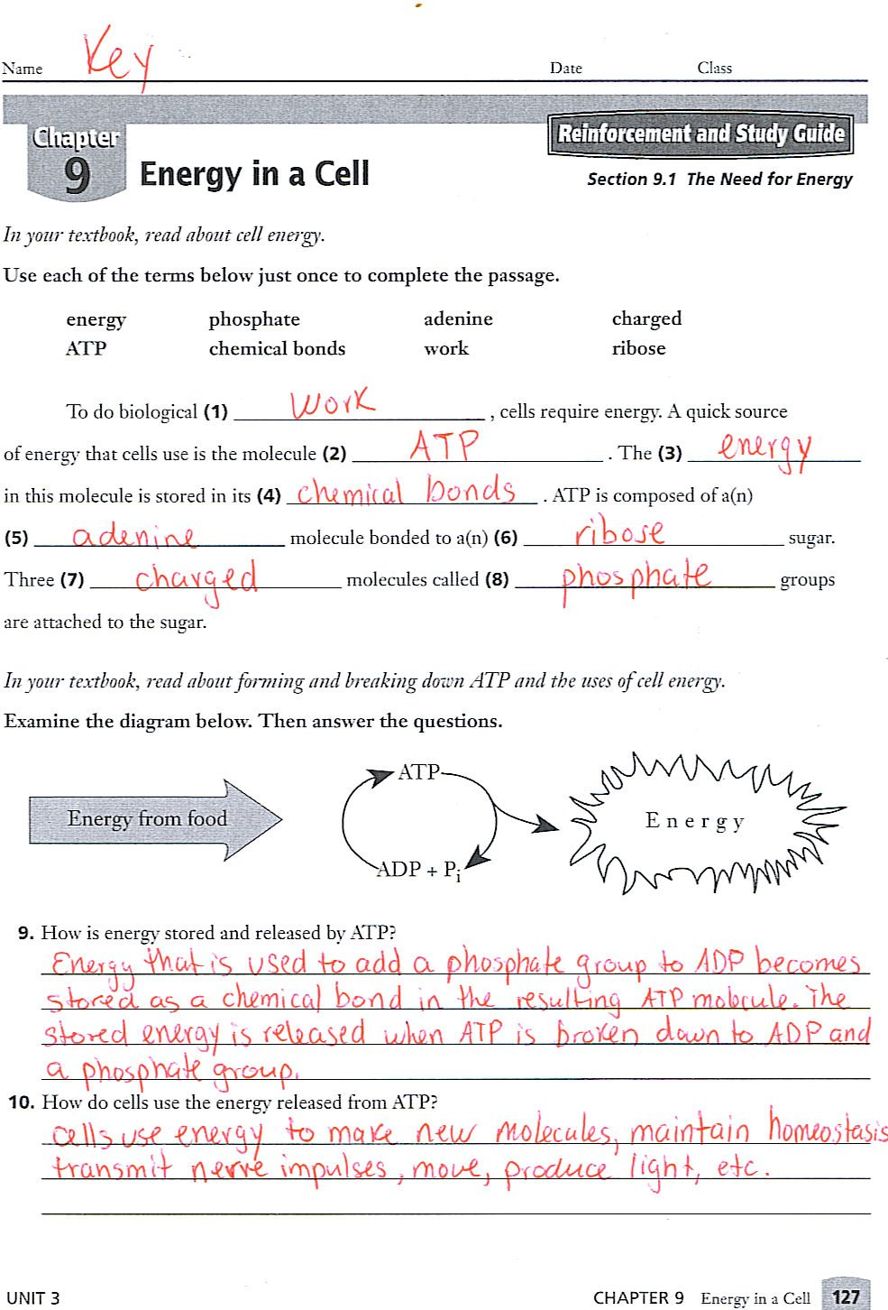 Chapter 9 Emt Quizlet – Balancing Equations Worksheet Throughout Energy In A Cell Worksheet Answers