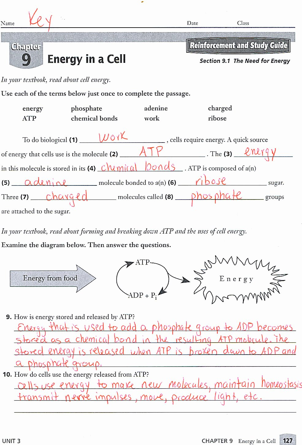 Chapter 9 Energy In A Cell Worksheet Answers Best Of Worksheet Regarding Energy In A Cell Worksheet Answers