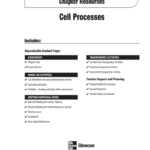 Chapter 9 Resource Cell Processes Pertaining To Teaching Transparency Worksheet Answers Chapter 9