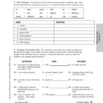 Chapter Cells And Energy 4 Vocabulary Practice Pages 1  3  Text For Energy Vocabulary Worksheet