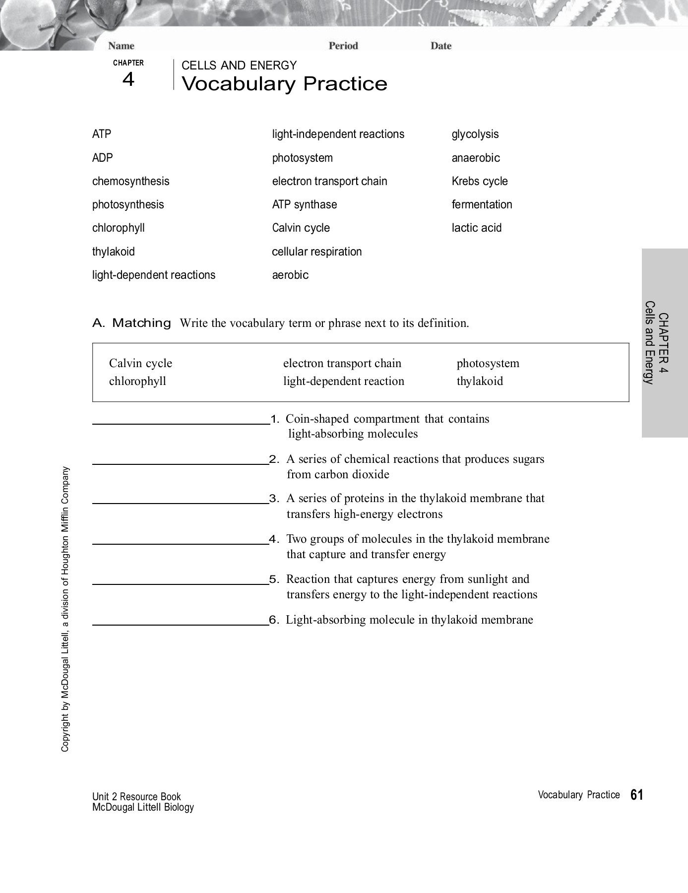Chapter Cells And Energy 4 Vocabulary Practice Pages 1  3  Text Within Energy Vocabulary Worksheet