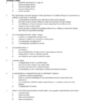 Chapter Four Review Worksheet Regarding Social Interaction Worksheets