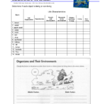 Characteristics Of Life Worksheet Throughout Characteristics Of Bacteria Worksheet Answer Key