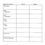 Chemistry Chapter 7 Worksheet Answers  Briefencounters Pertaining To Chemistry Worksheet Answers