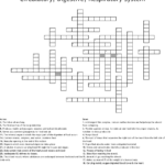 Circulatory Digestive Respiratory System Crossword  Wordmint Together With Circulatory And Respiratory System Worksheet