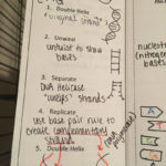 Class Notes 1718  Ms Raeon's Biology Website Regarding Biomolecules Concept Map Worksheet