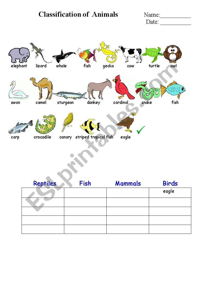 Classification Of Animals 1  Esl Worksheetbeucici17 Together With Animal Classification Worksheet