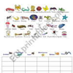 Classification Of Animals 2  Esl Worksheetbeucici17 Along With Animal Classification Worksheet