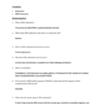 Click Here For Section 83 Study Guide With Dna Replication Review Worksheet Answers