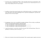 Codominance And Incomplete Dominance Practice Problems With Regard To Incomplete Dominance And Codominance Practice Problems Worksheet Answer Key