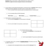 Codominance And Incomplete Dominance Within Incomplete Dominance And Codominance Practice Problems Worksheet Answer Key