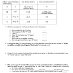 Codominance Worksheet Blood Types Answer Key  Briefencounters With Blood Types Worksheet Answers