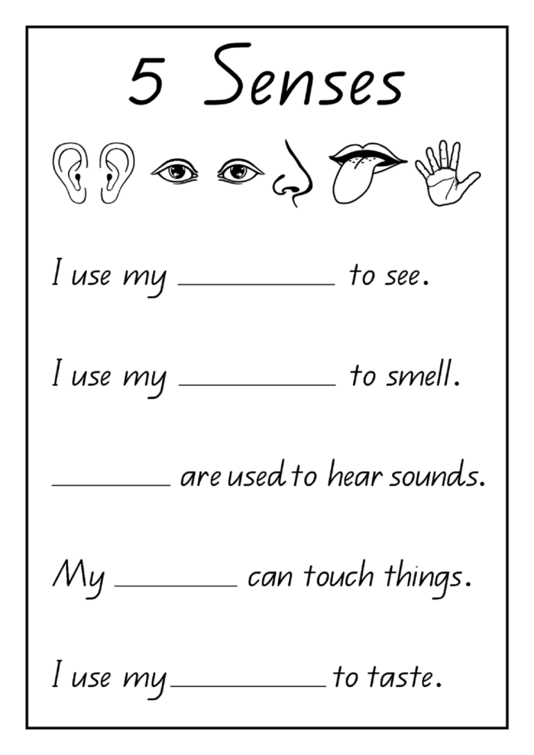 Free Printable First Grade English Worksheets For Grade 1