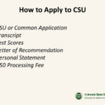 Colorado State University Letter Of Recommendation  Papakcmic Intended For Scholarship Merit Badge Worksheet