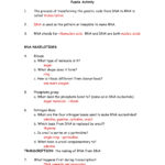 Coloring Dna Worksheet Answers Also Dna Coloring Worksheet Key