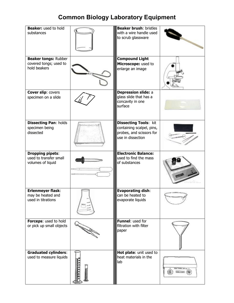 Common Biology Laboratory Equipment In Laboratory Apparatus Worksheet