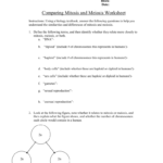 Comparing Mitosis And Meiosis Worksheet Also Mitosis And Meiosis Worksheet Answer Key