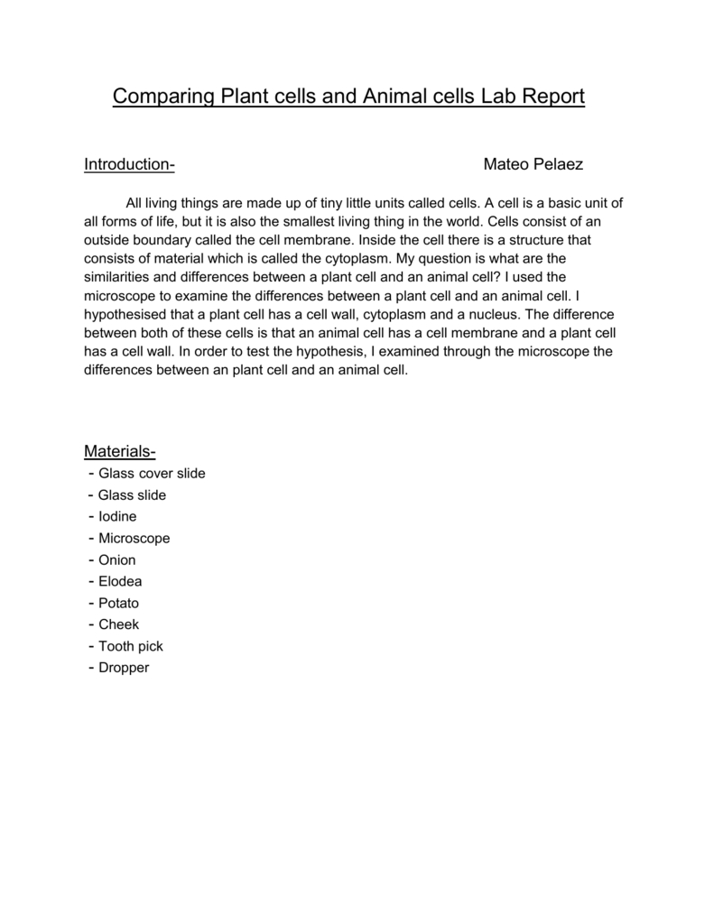 Comparing Plant Cells And Animal Cells Lab Report Together With Comparing Plant And Animal Cells Worksheet