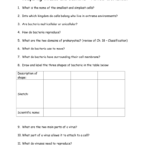 Comparing Viruses And Bacteria – Review Worksheet 1 And Virus And Bacteria Worksheet Answer Key