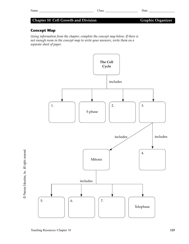 Concept Map Chapter 10 Cell Growth And Division Graphic Organizer For Cell Concept Map Worksheet Answers