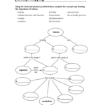 Concept Mapping As Well As Cell Concept Map Worksheet Answers