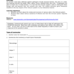 Conflictimmunitygame And Cells Of The Immune System Student Worksheet Answers