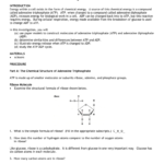 Constructing A Model Of Atp Throughout Atp Worksheet Answers