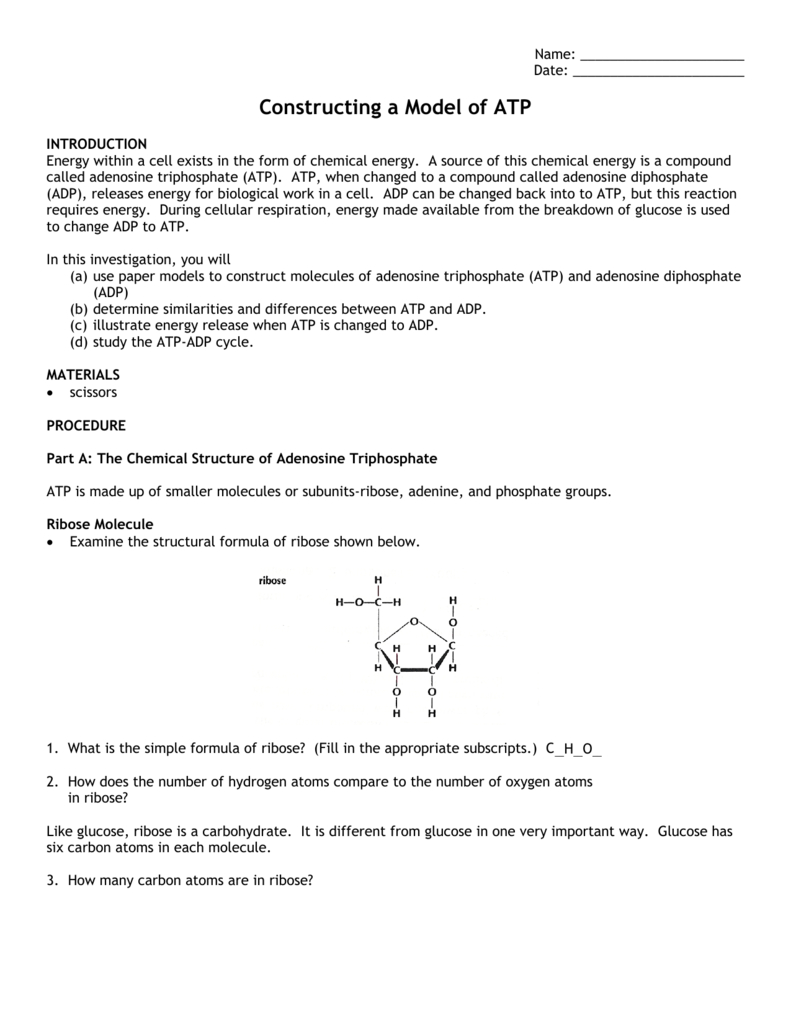 Constructing A Model Of Atp Throughout Atp Worksheet Answers