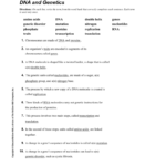 Content Practice Ab With Answers As Well As Genetics Worksheet Middle School