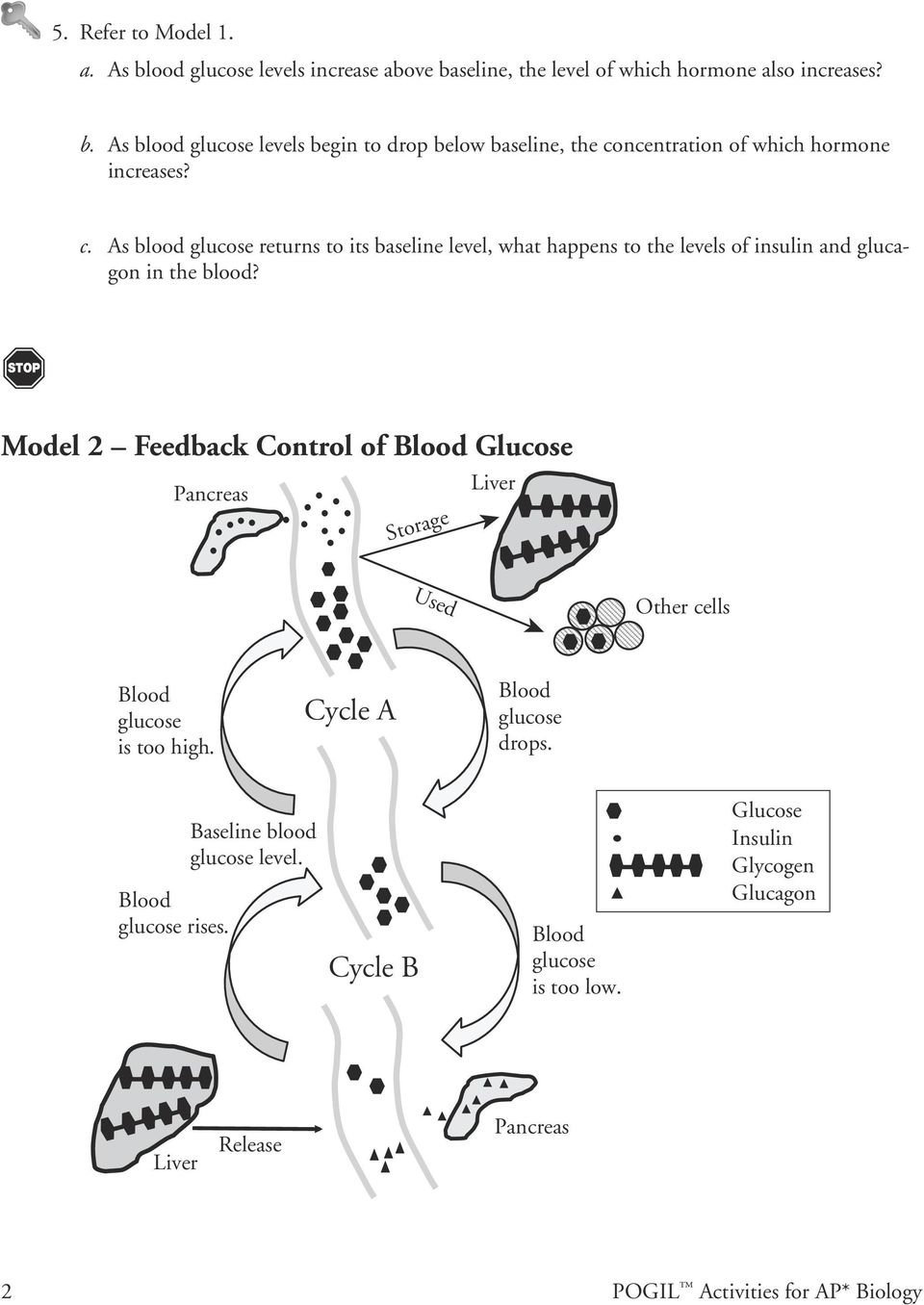 Control Of Blood Sugar Levels  Pdf And Feedback Loops Glucose And Glucagon Worksheet Answers