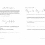 Control Of Gene Expression In Prokaryotes Pogil Worksheet Answers For Control Of Gene Expression In Prokaryotes Worksheet Answers