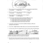 Controlling A Collision Worksheet Answers  Briefencounters Regarding Controlling A Collision Worksheet Answers