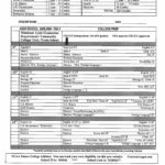 Counseling  Fouryear Plan In College Planning Worksheet
