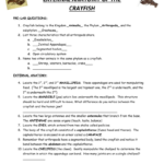 Crayfish Dissection Answers And Crayfish Dissection Worksheet Answers