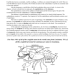 Crayfish Dissection—Instructor Answer Key Crayfish External Anatomy For Crayfish Dissection Worksheet