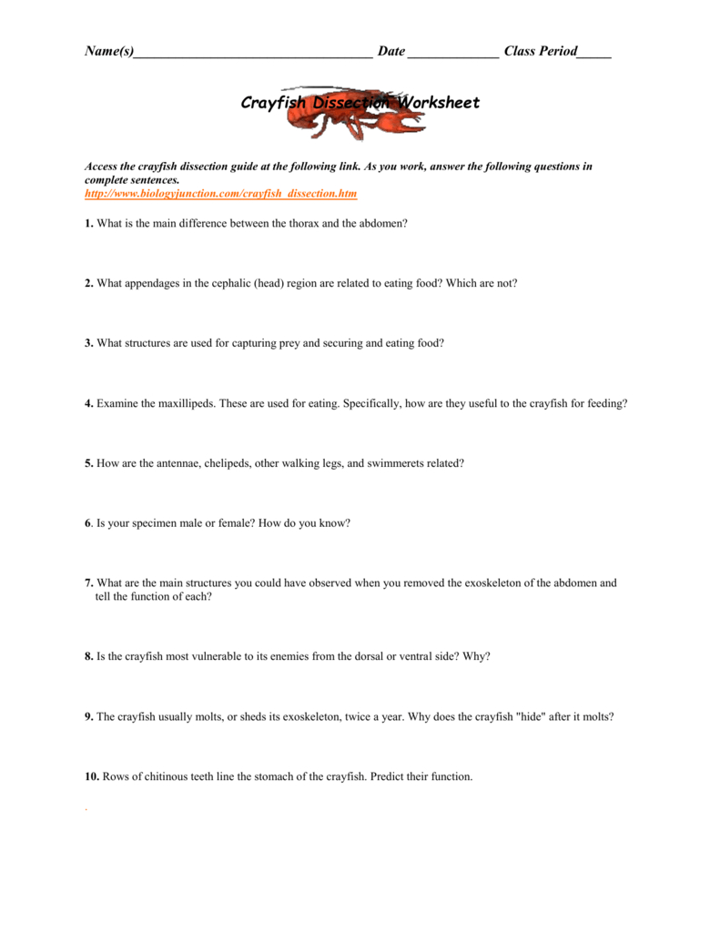 Crayfish Dissection Worksheet For Crayfish Dissection Worksheet Answers