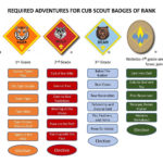 Cub Scouting Adventures  Boy Scouts Of America In Webelos Game Design Worksheet