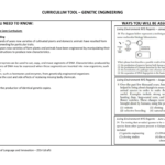 Curriculum Tool – Genetic Engineering What You Need To Know Within Genetic Engineering Worksheet