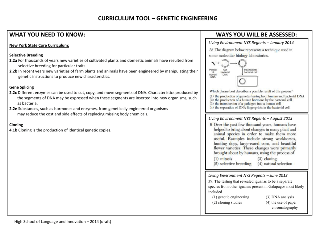 Curriculum Tool – Genetic Engineering What You Need To Know Within Genetic Engineering Worksheet