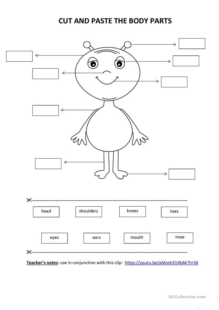 Cut  Paste Activity Body Parts Worksheet  Free Esl Printable Also Free Cutting Worksheets