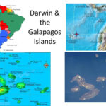 Darwin  The Galapagos Islands  Ppt Download And Galapagos The Islands That Changed The World Worksheet