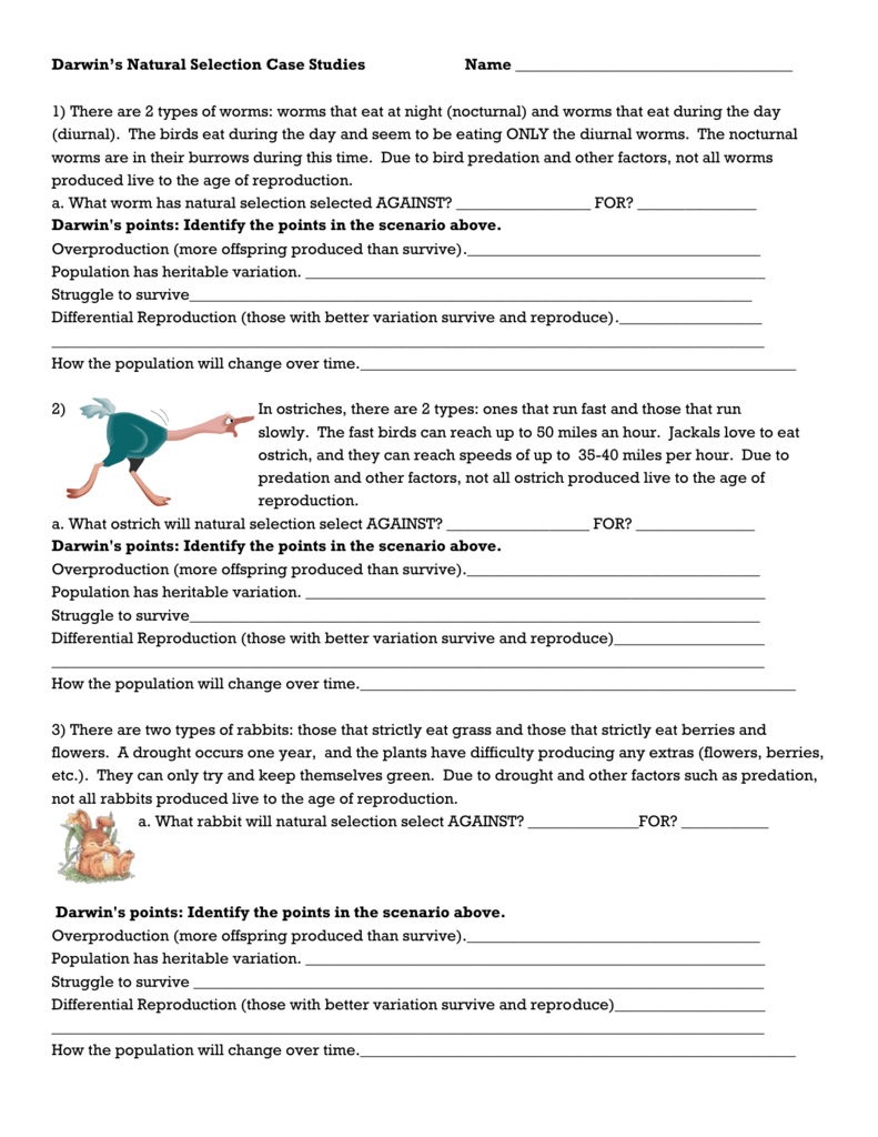 Darwin's Natural Selection Worksheet With Evolution By Natural Selection Worksheet Answer Key