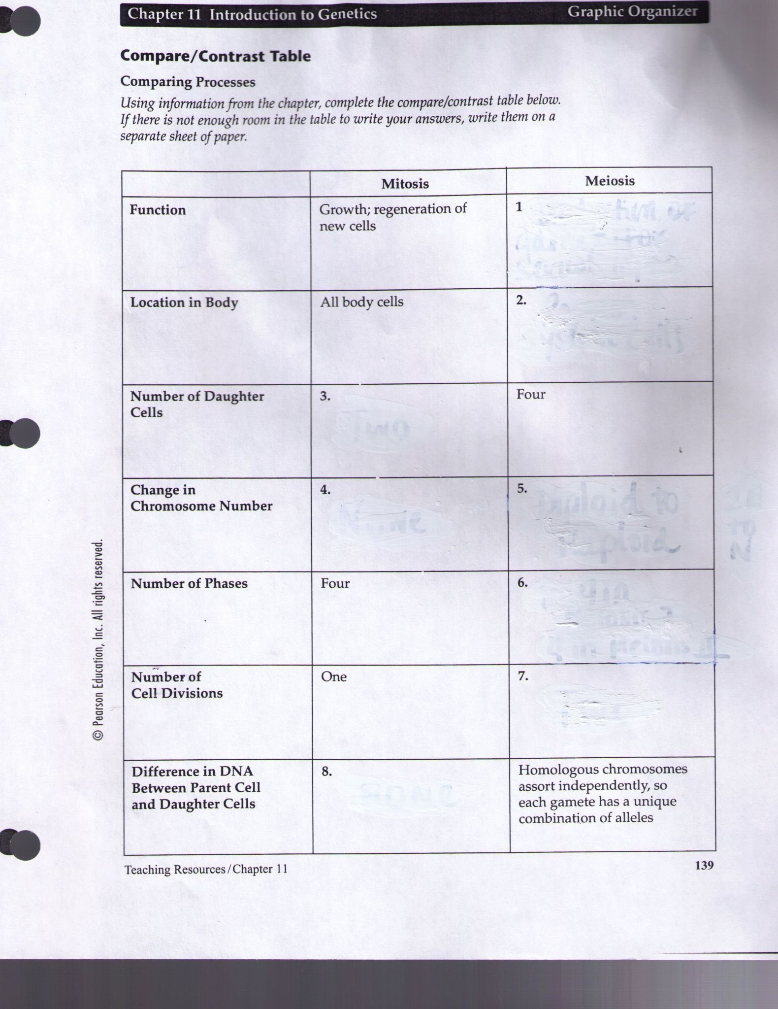Data Analysis Worksheet Schs Biology Answers  Briefencounters Together With Schs Biology Data Analysis Worksheet Answers
