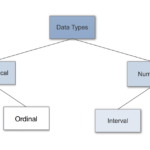 Data Types In Statistics  Towards Data Science Together With Data Analysis Worksheets High School Science
